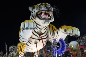 A Porto da Pedra impressionou com o pede-passagem e seu enorme tigre