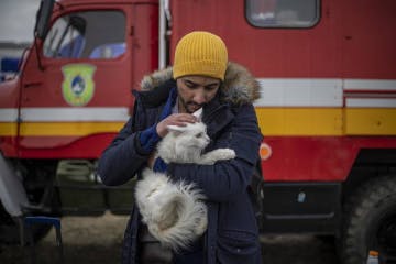 Já são 44 os países que receberam refugiados ucranianos